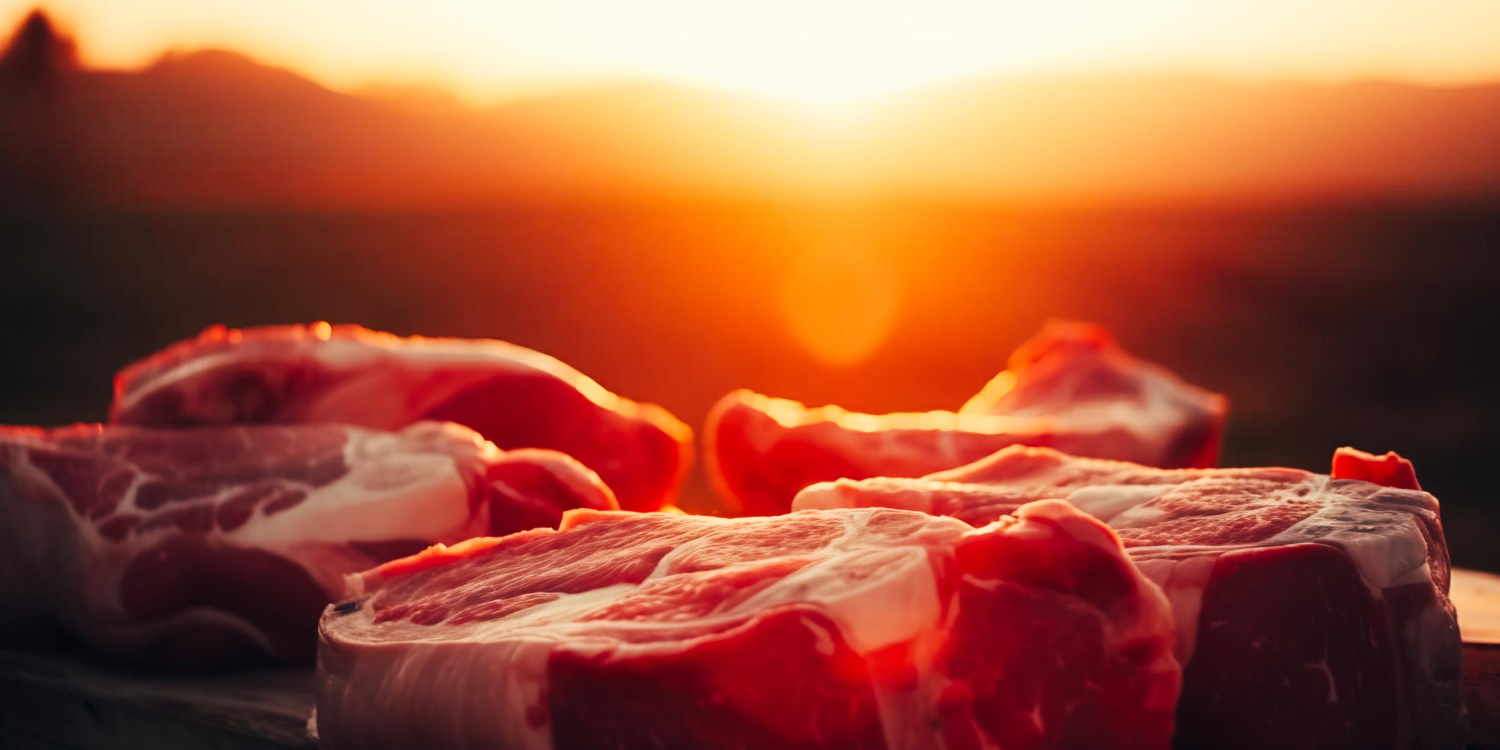 El futuro de la carne cultivada: innovación sostenible en el horizonte
